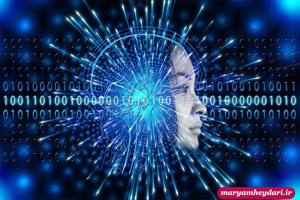 خط مشی و سیاست حریم خصوصی