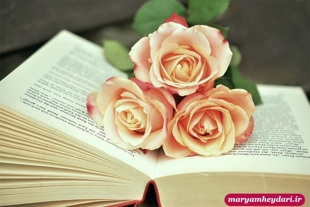 خدمات ویرایش کتاب انگلیسی و فارسی